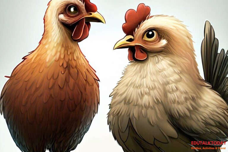 57 Riddles about Chickens
