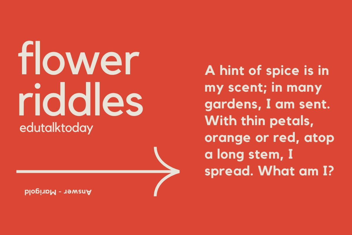 60 Flower Riddles with Answers EduTalkToday