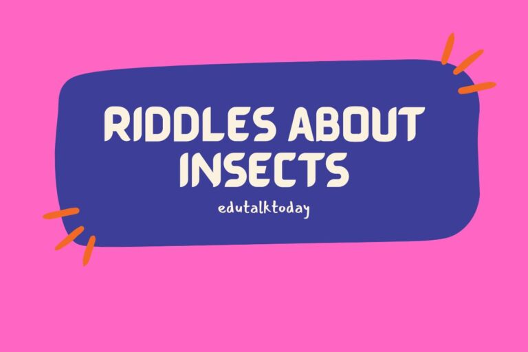 40 Insect Riddles