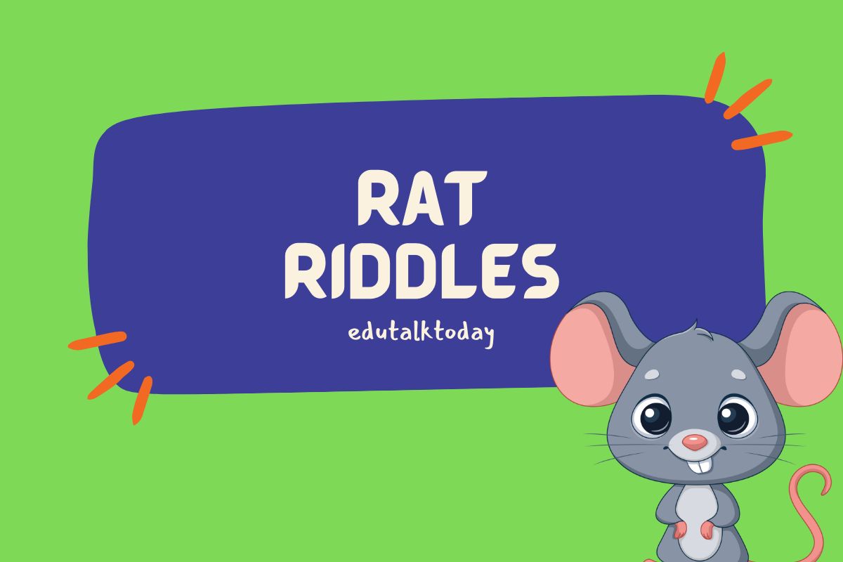 30 Rat Riddles
