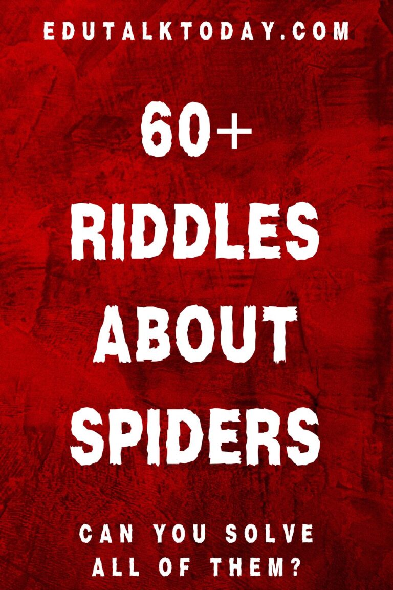 60 Riddles about Spiders EduTalkToday