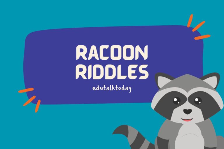 42 Racoon Riddles