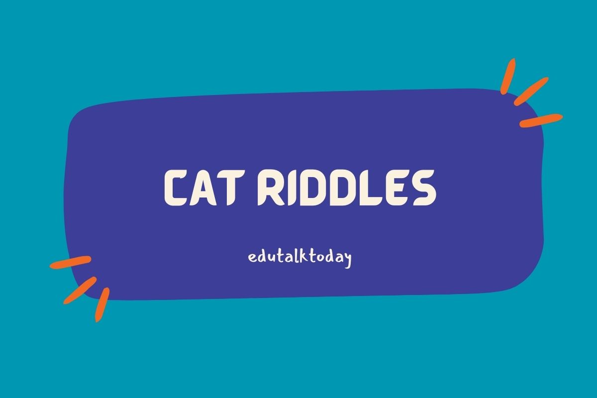 52 Cat Riddles with Answers Cat Riddles