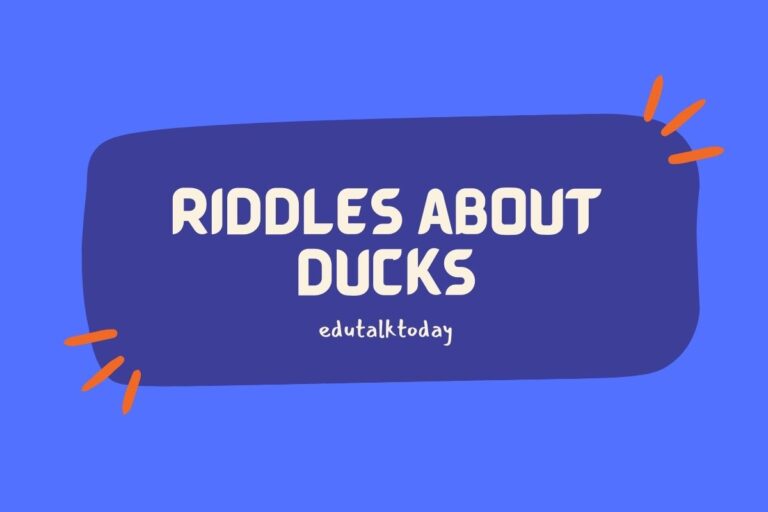 65 Riddles about Ducks