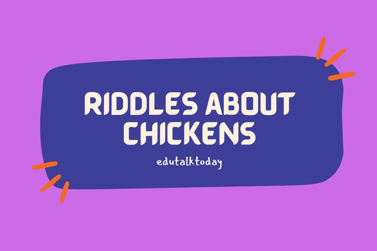 57-riddles-about-chickens-edutalktoday