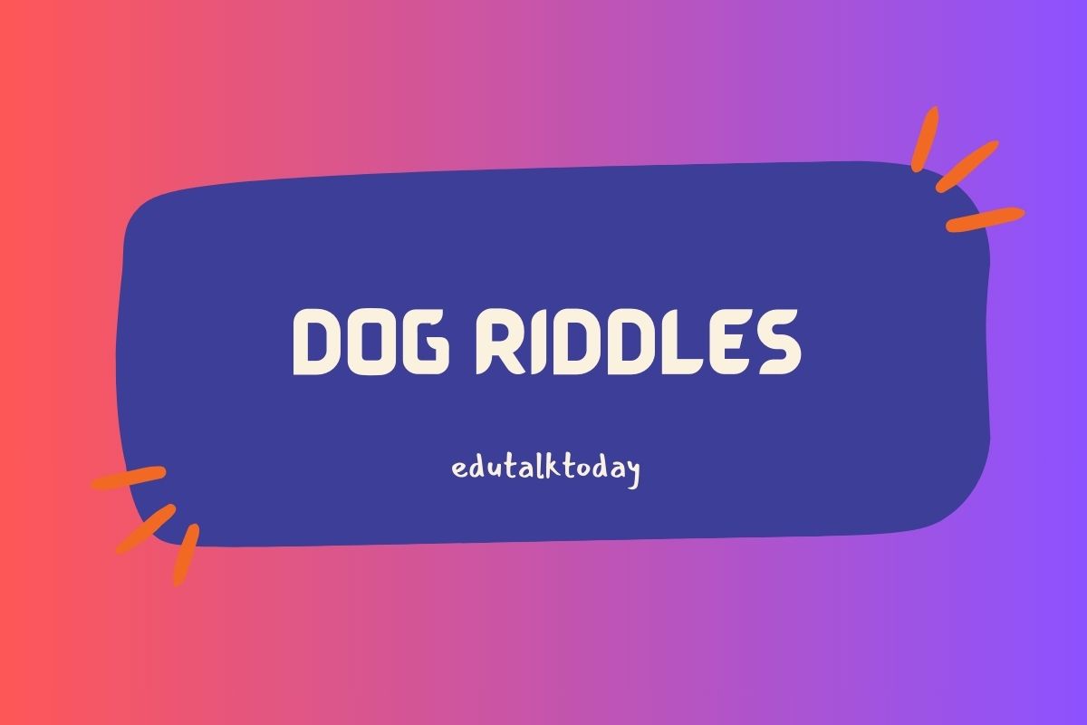 50 Dog Riddles With Answers Riddles about Dogs