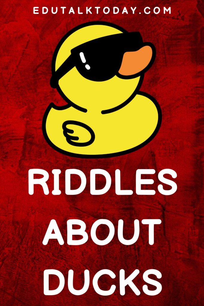 riddles about ducks