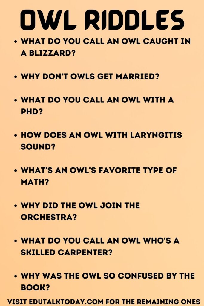 owl riddles