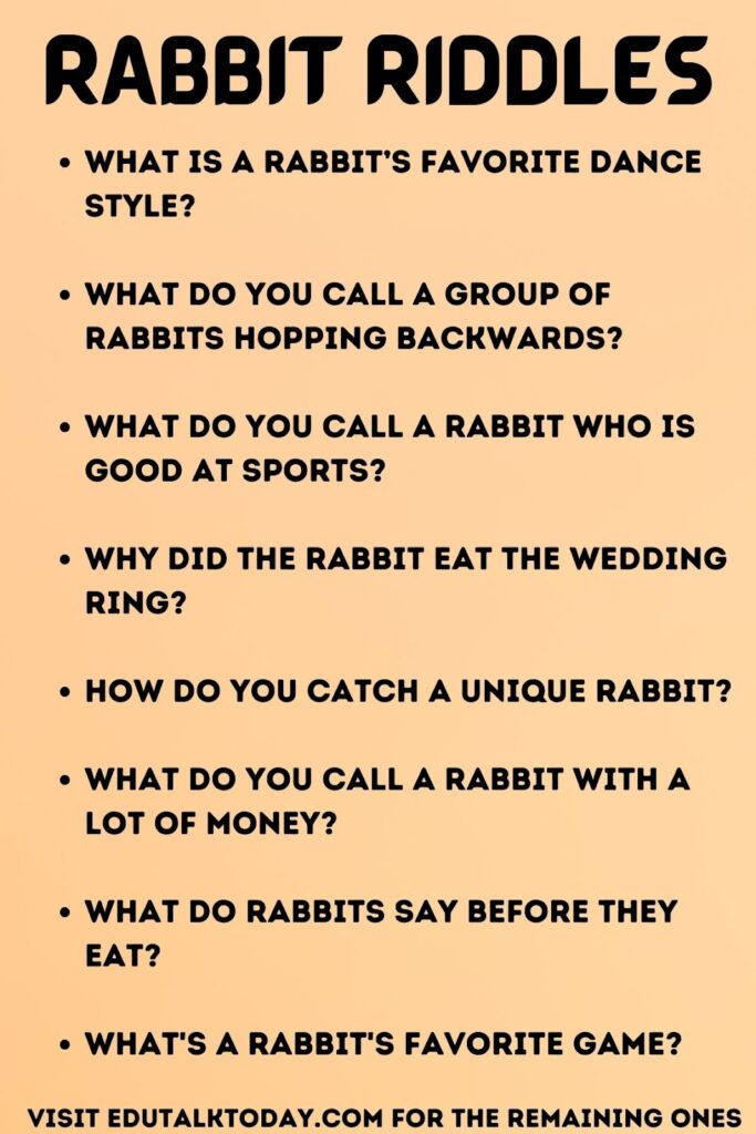 rabbit riddles