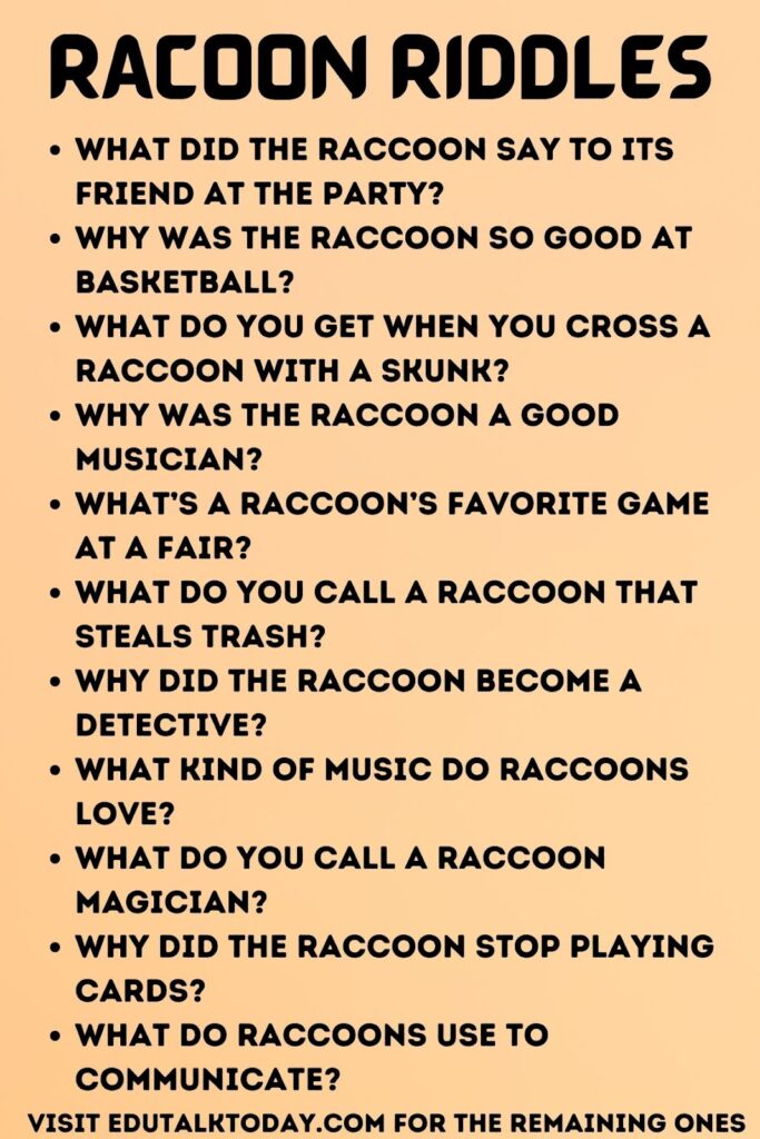 racoon riddles