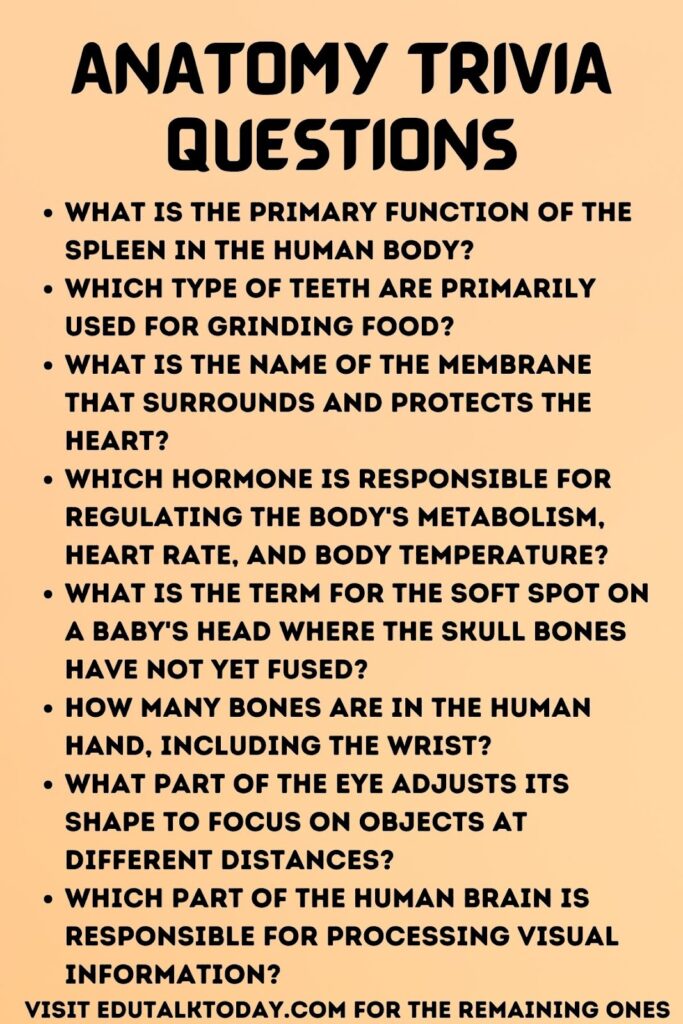 Anatomy Trivia Questions
