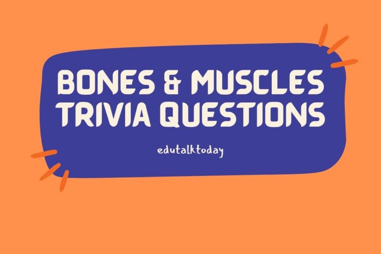 24 Bones and Muscles Trivia Questions