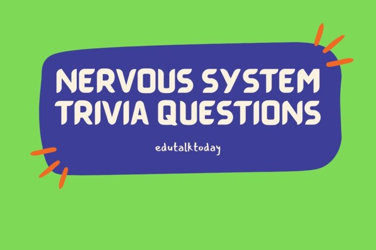 43 Nervous System Trivia Questions
