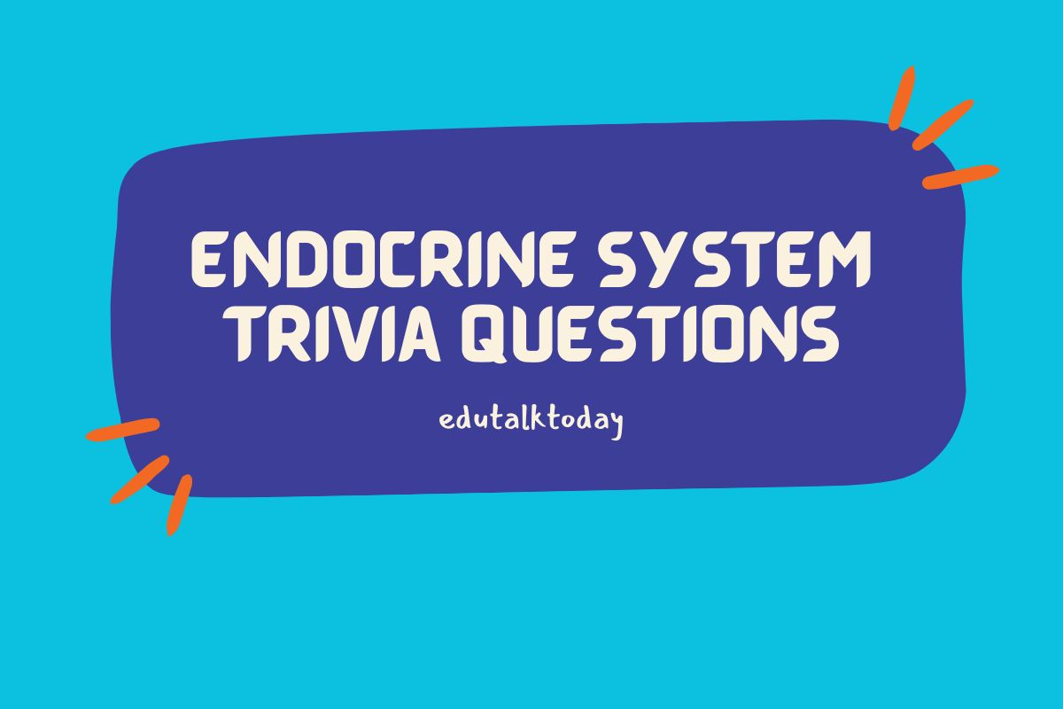 36 Endocrine System Trivia Questions - EduTalkToday