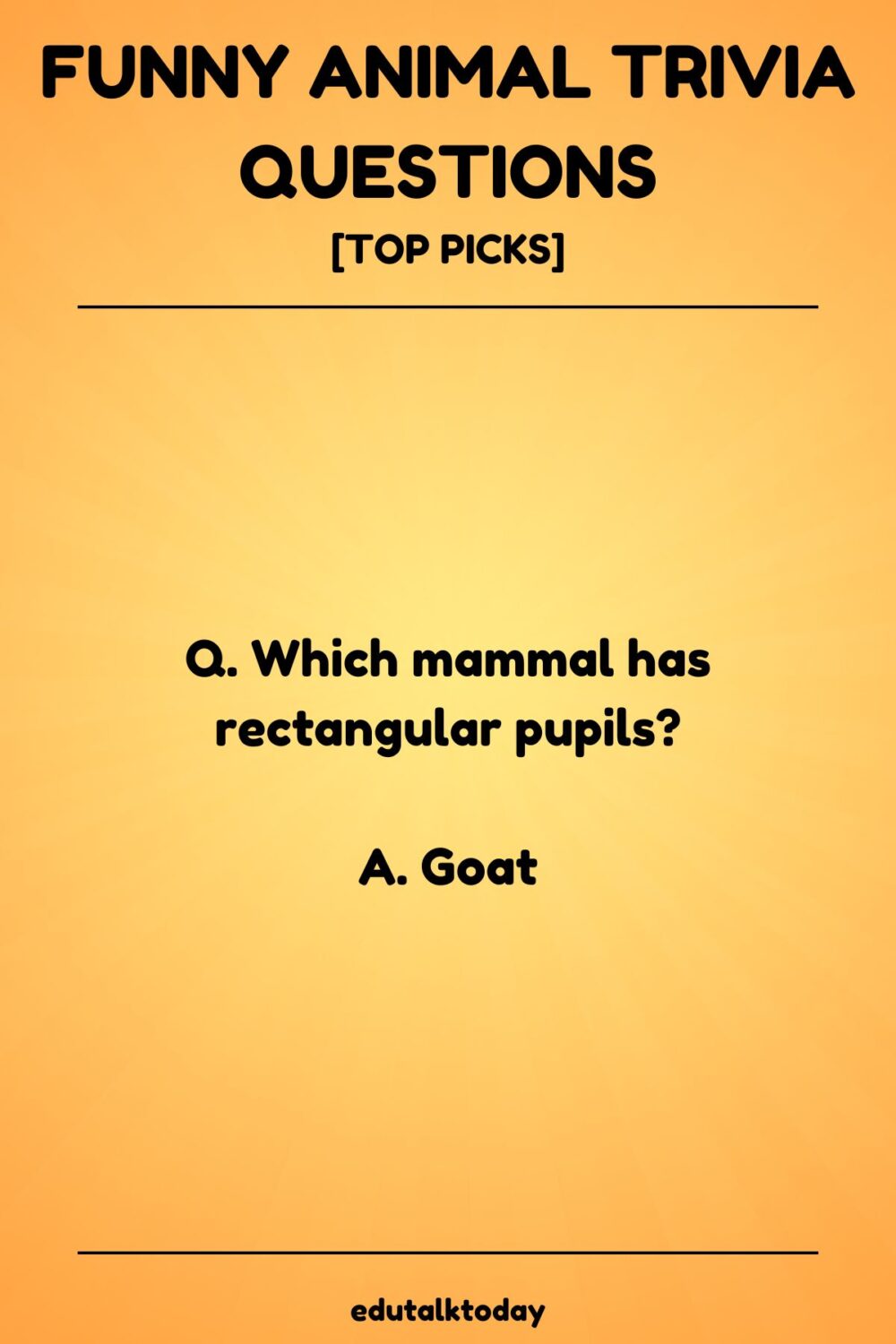 Funny Animal Trivia Questions
