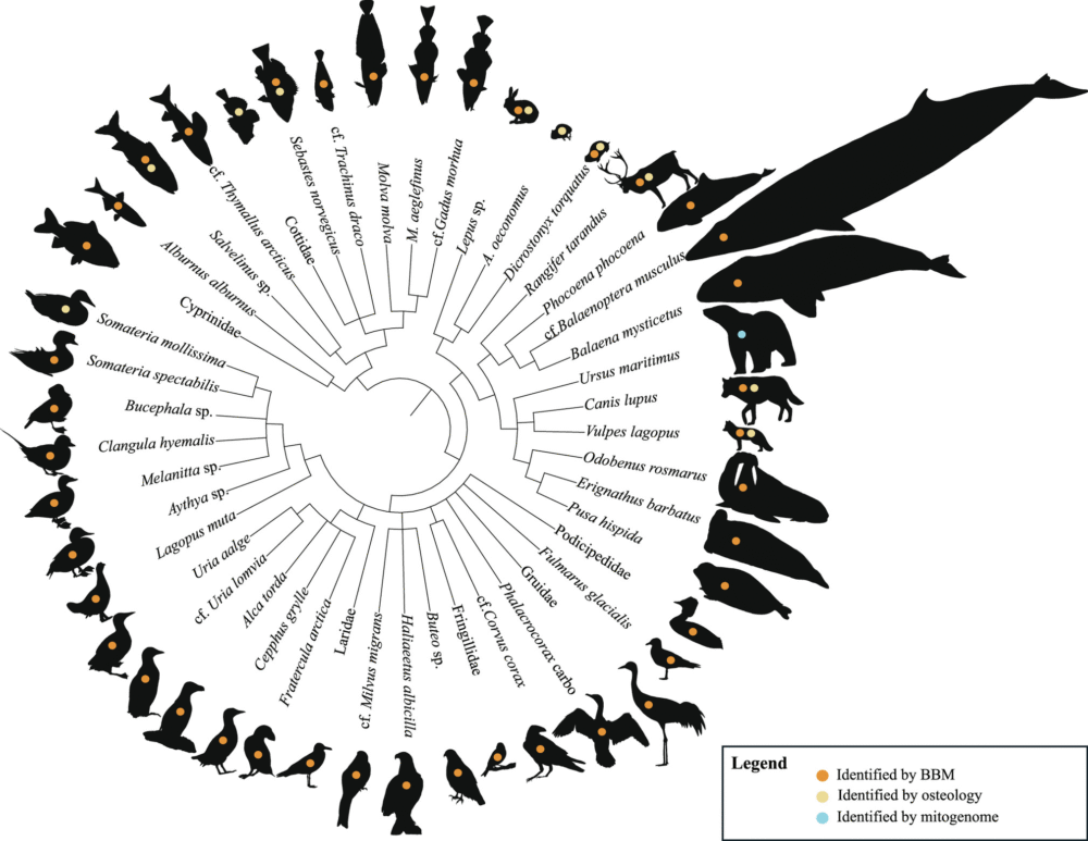 What a 75,000-Year-Old Norwegian Cave Reveals About Climate and Wildlife What a 75,000-Year-Old Norwegian Cave Reveals About Climate and Wildlife