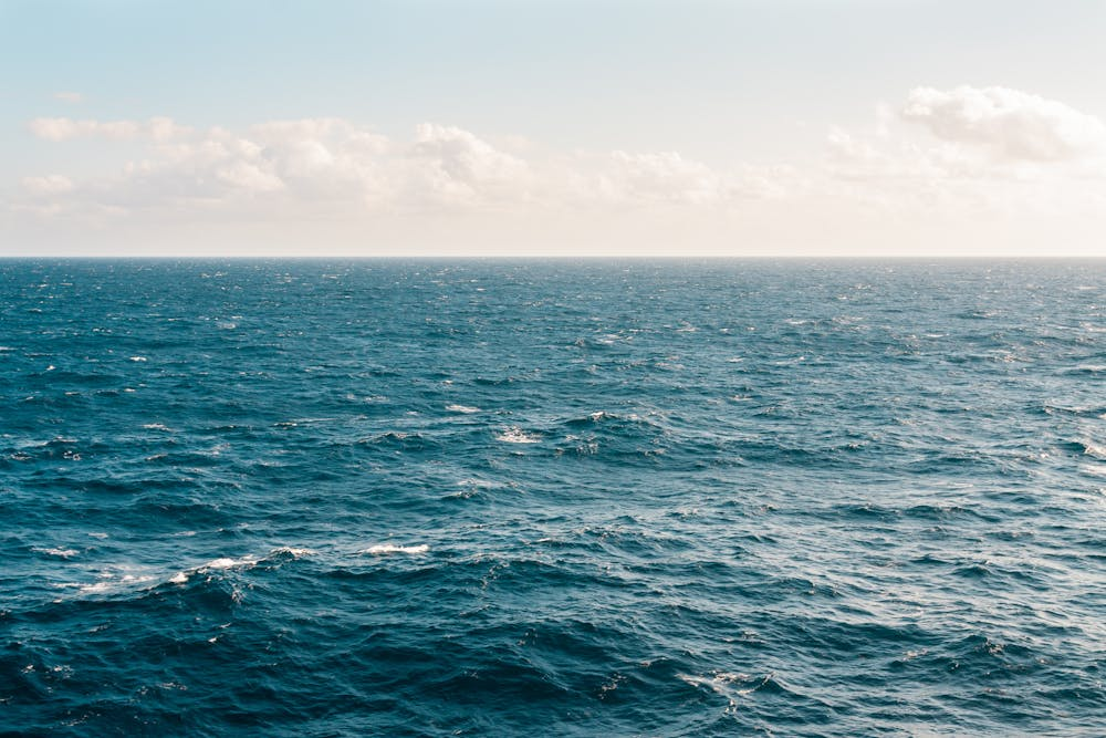 Tiny Ocean Travelers Lock Away Carbon in the Southern Ocean Tiny Ocean Travelers Lock Away Carbon in the Southern Ocean