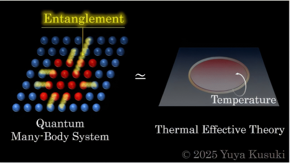Physicists Discover Universal Rules Behind Quantum Entanglement Physicists Discover Universal Rules Behind Quantum Entanglement