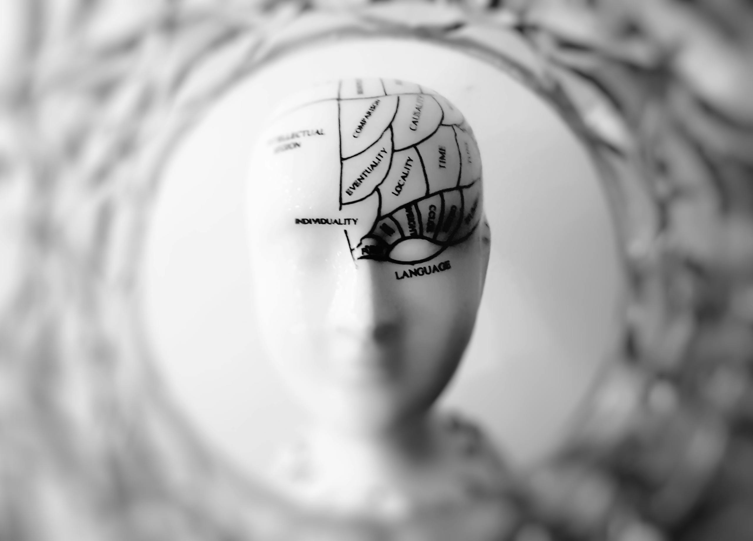 Brain Signals Only Count When They Arrive on Time: New Study Explains How Attention Works Close-up black and white image of a phrenology head with brain sections labeled.