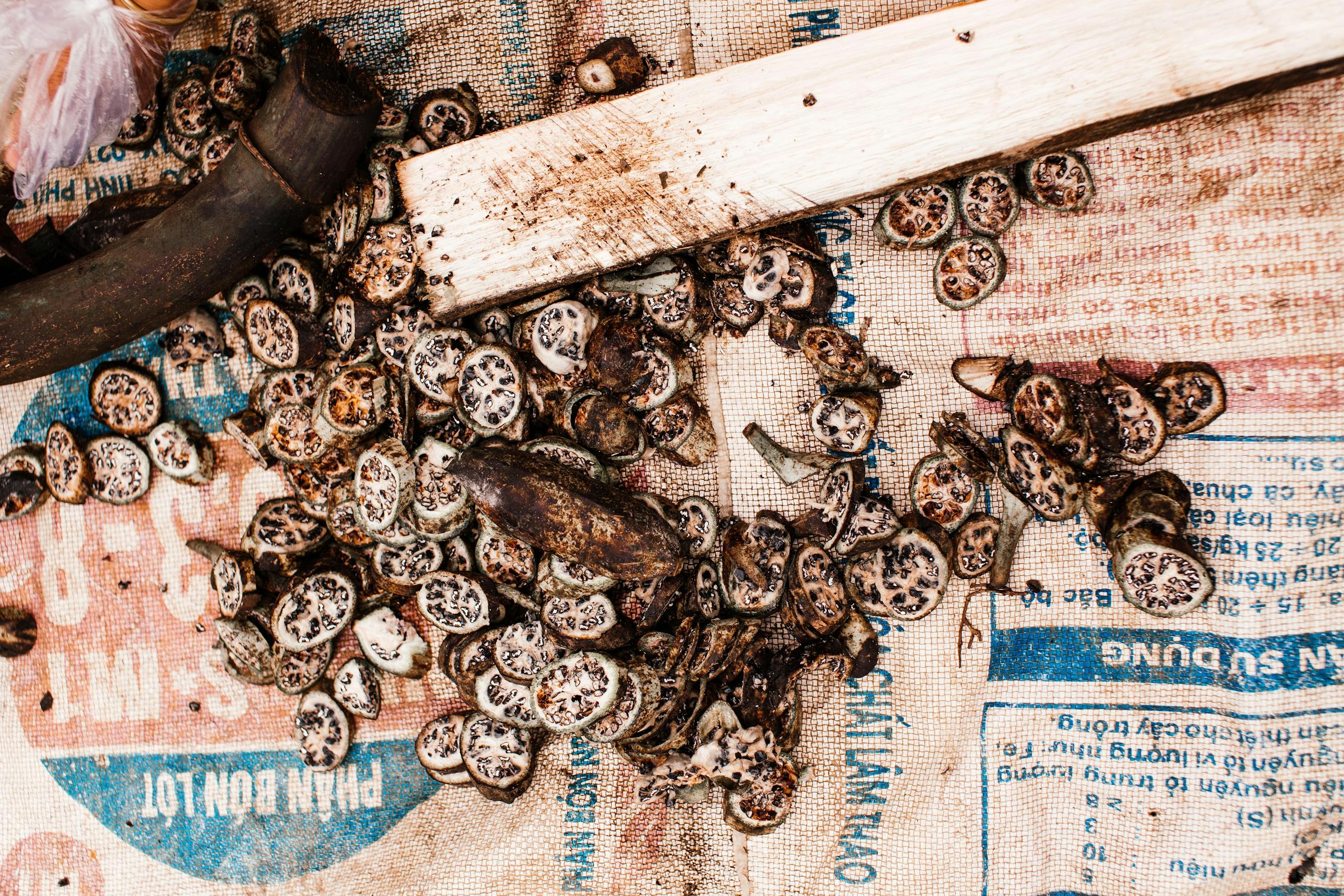 Ultra-Processed Foods: New Study Suggests They’re Not the Villain We Think Detailed view of sliced betel nuts scattered on a textured burlap surface with rustic wooden tools.