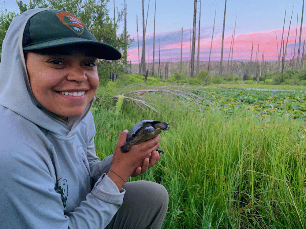 Native Turtles Return to Yosemite After Invasive Bullfrog Removal