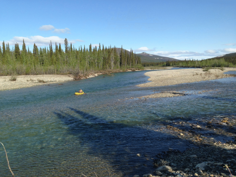 Scientists Uncover the Cause and Consequences of Alaska’s Rivers Turning Orange