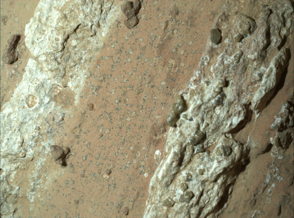 NASA’s Perseverance Rover May Have Found Mars’ First Signs of Ancient Life