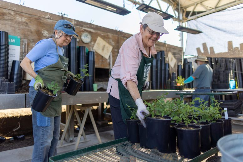 Purpose in Life Tied to Lower Dementia Risk - UC Davis Study Explains How