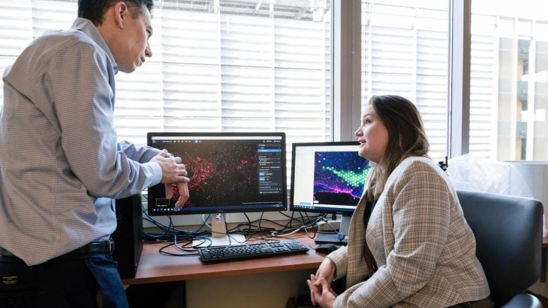 Overworked Brain Cells Could Be the Hidden Driver of Parkinson’s Disease