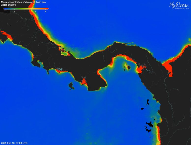 Panama’s Ocean Lifeline: First Recorded Collapse of Seasonal Upwelling in 40 Years