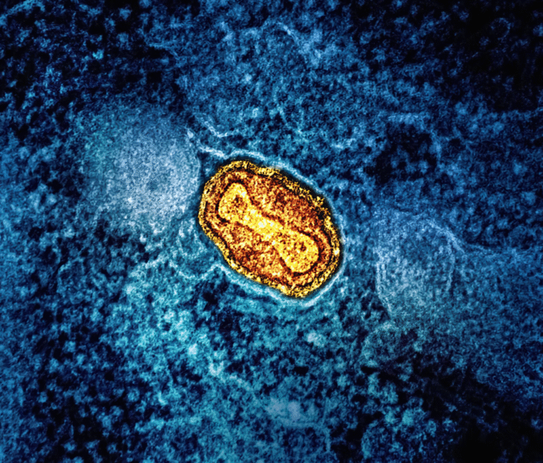 Caltech Scientists Overturn Long-Held Model of Mitochondrial Protein Import