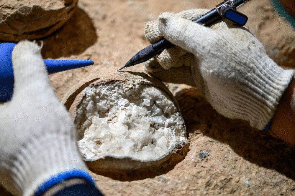 Scientists Successfully Date 85-Million-Year-Old Dinosaur Eggs in China