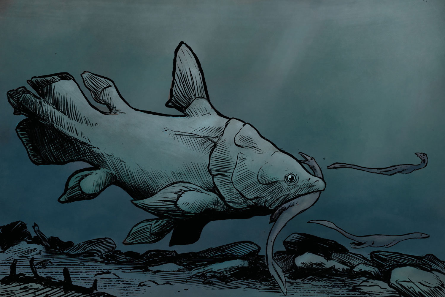 New Species of Ancient Coelacanth Fossils Identified in the UK After 150 Years