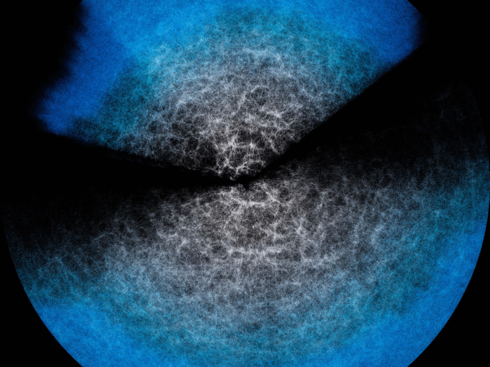 Scientists Develop Effort.jl: A Laptop-Friendly Tool to Simulate the Universe Scientists Develop Effort.jl: A Laptop-Friendly Tool to Simulate the Universe