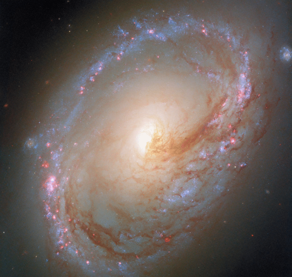 Hubble Reveals a Warped Spiral Galaxy Bursting With Young Stars