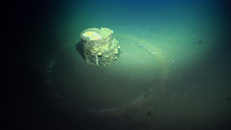 Strange White Halos on the Ocean Floor Near Los Angeles Reveal Toxic Waste Legacy
