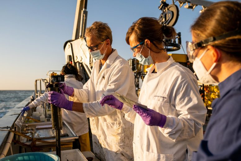 Strange White Halos on the Ocean Floor Near Los Angeles Reveal Toxic Waste Legacy