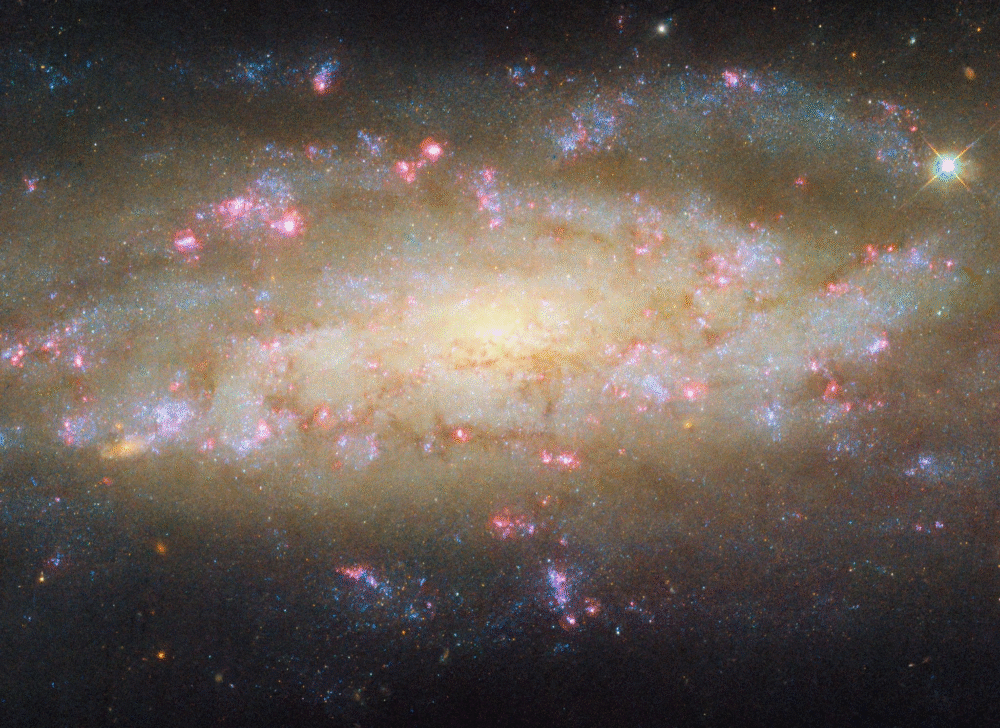 Spiral Galaxy NGC 7456 Bursts With Star Formation and Black Hole Power