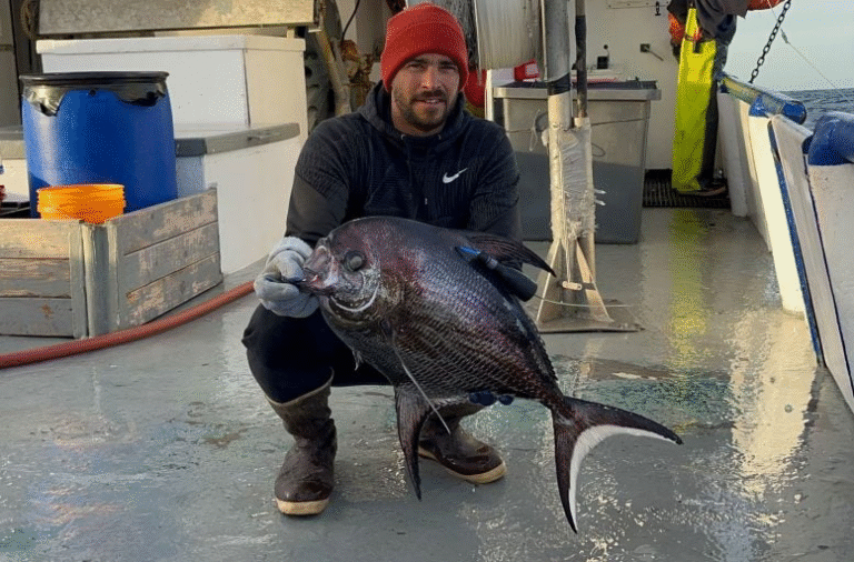 Bigscale Pomfret: Scientists Unlock Secrets of a Mysterious Ocean Dweller