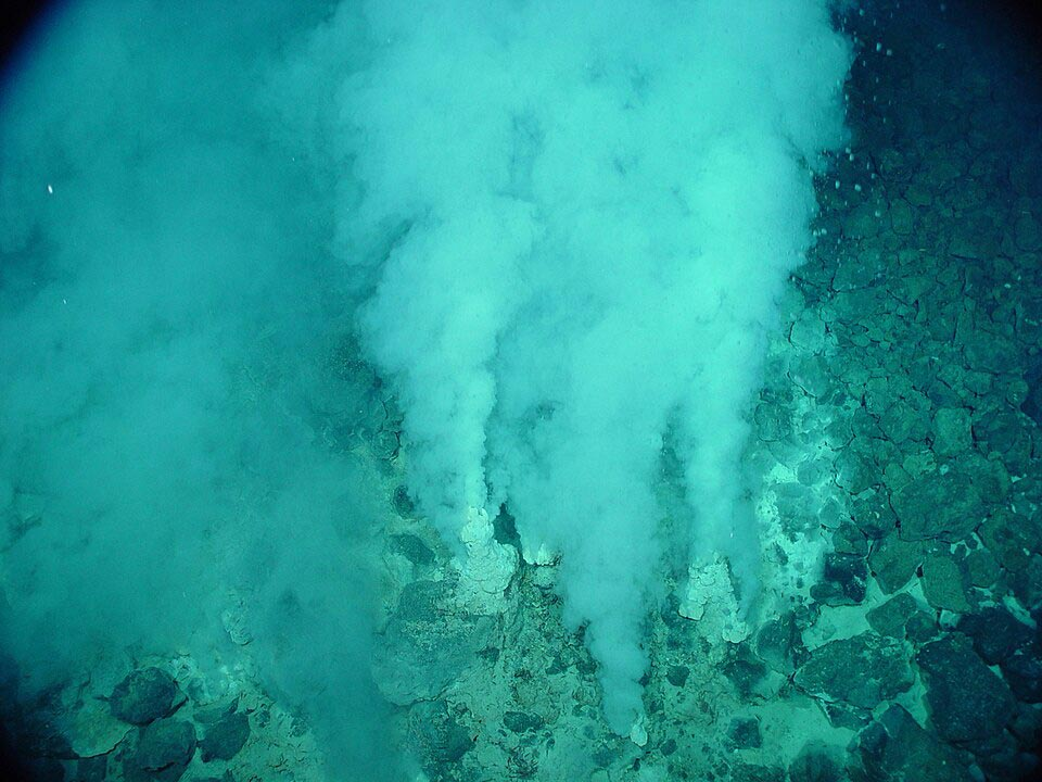 New Study Reveals Life on Earth May Be Too Complex to Arise by Chance Alone New Study Reveals Life on Earth May Be Too Complex to Arise by Chance Alone