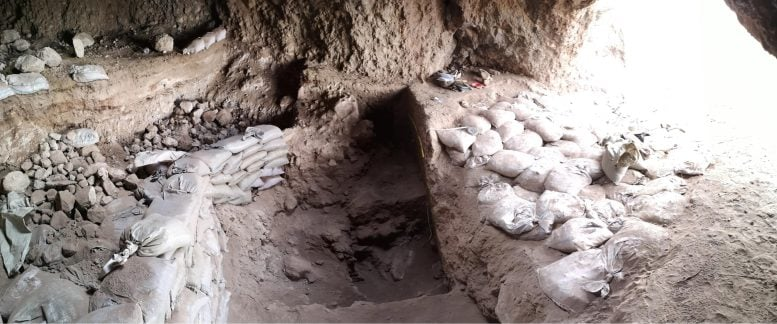Ancient Discovery in Uzbekistan Challenges Farming’s Origin Story Ancient Discovery in Uzbekistan Challenges Farming’s Origin Story