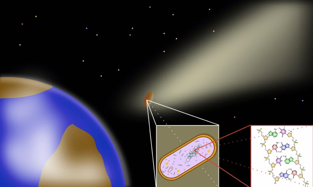 New Study Reveals Life on Earth May Be Too Complex to Arise by Chance Alone New Study Reveals Life on Earth May Be Too Complex to Arise by Chance Alone