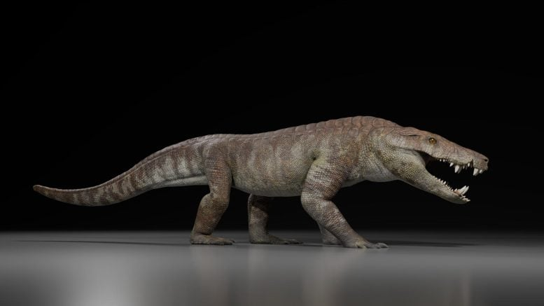 A Fierce Crocodile Cousin With Dinosaur-Crushing Jaws Unearthed in Patagonia A Fierce Crocodile Cousin With Dinosaur-Crushing Jaws Unearthed in Patagonia