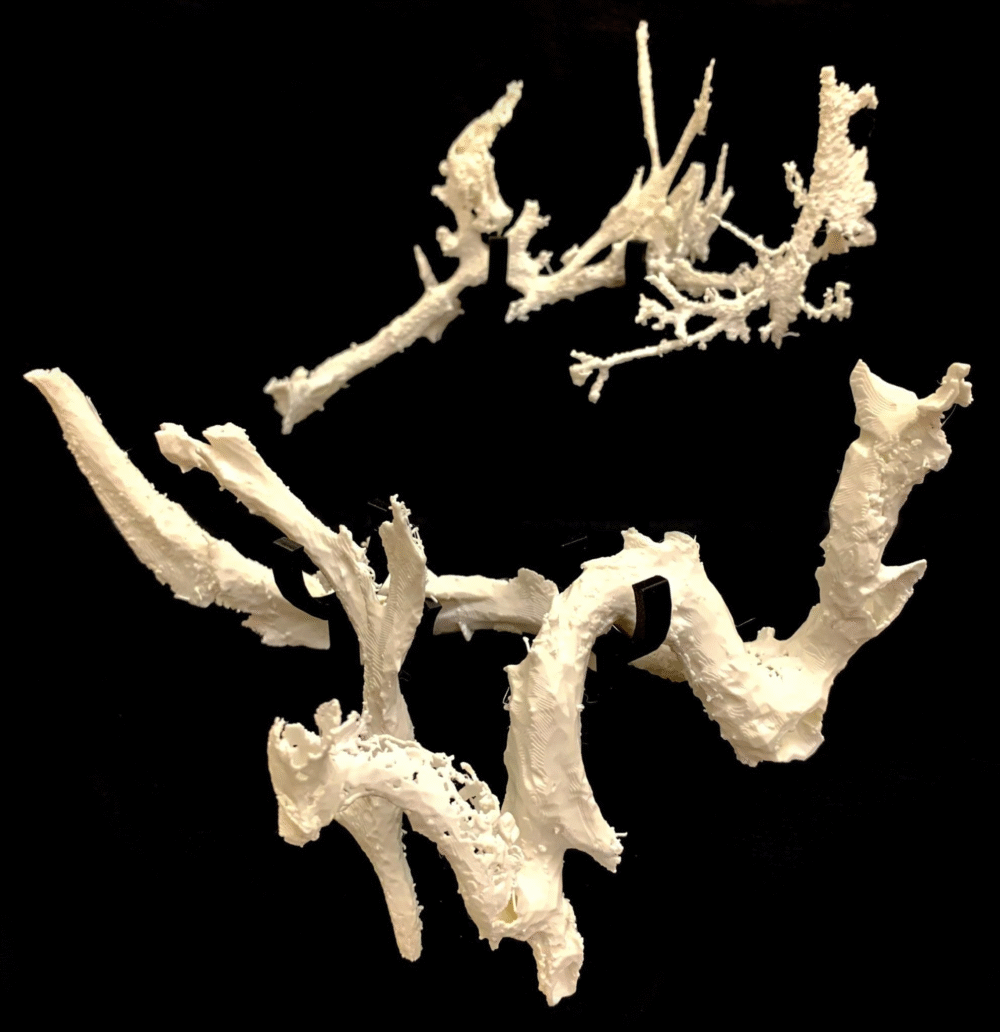 Blood Vessels in T. rex Bones Reveal Surprising Secrets About Dinosaurs Blood Vessels in T. rex Bones Reveal Surprising Secrets About Dinosaurs