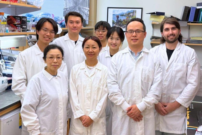 Antidepressants May Double as Cancer Fighters: A Surprising UCLA Discovery Antidepressants May Double as Cancer Fighters: A Surprising UCLA Discovery