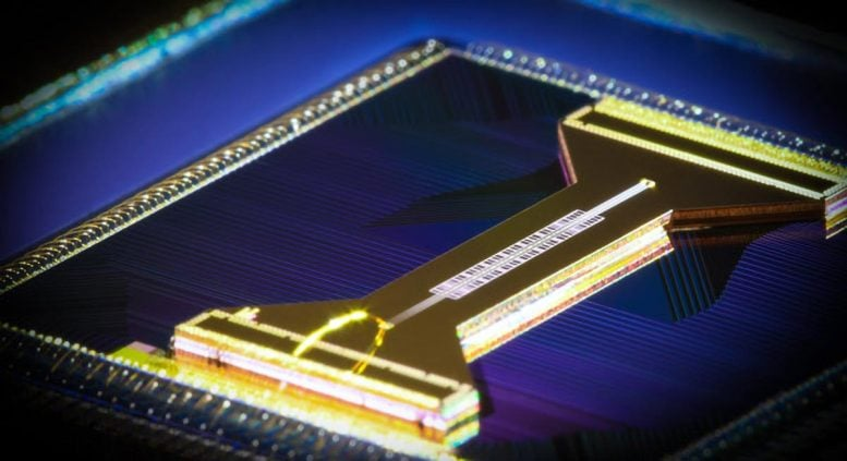 Quantum Computers Are Learning From Black Holes Quantum Computers Are Learning From Black Holes