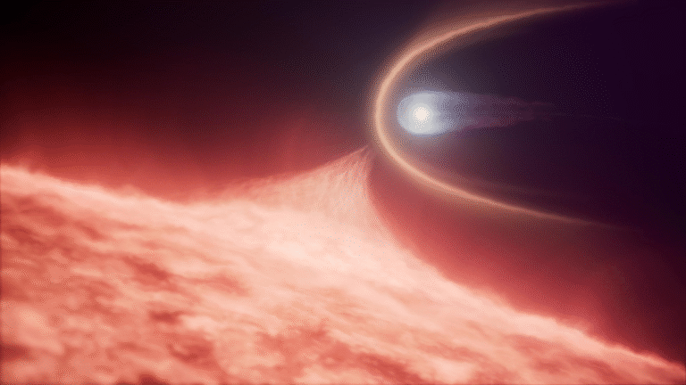 Astronomers Discover a Rare “Zombie Star” Born From a Stellar Collision
