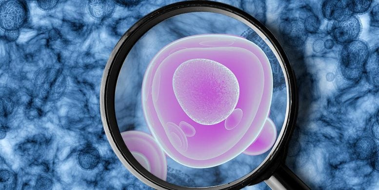 Breast Cancer Drug Tamoxifen Linked to Rare but Serious Risk of Uterine Cancer Breast Cancer Drug Tamoxifen Linked to Rare but Serious Risk of Uterine Cancer