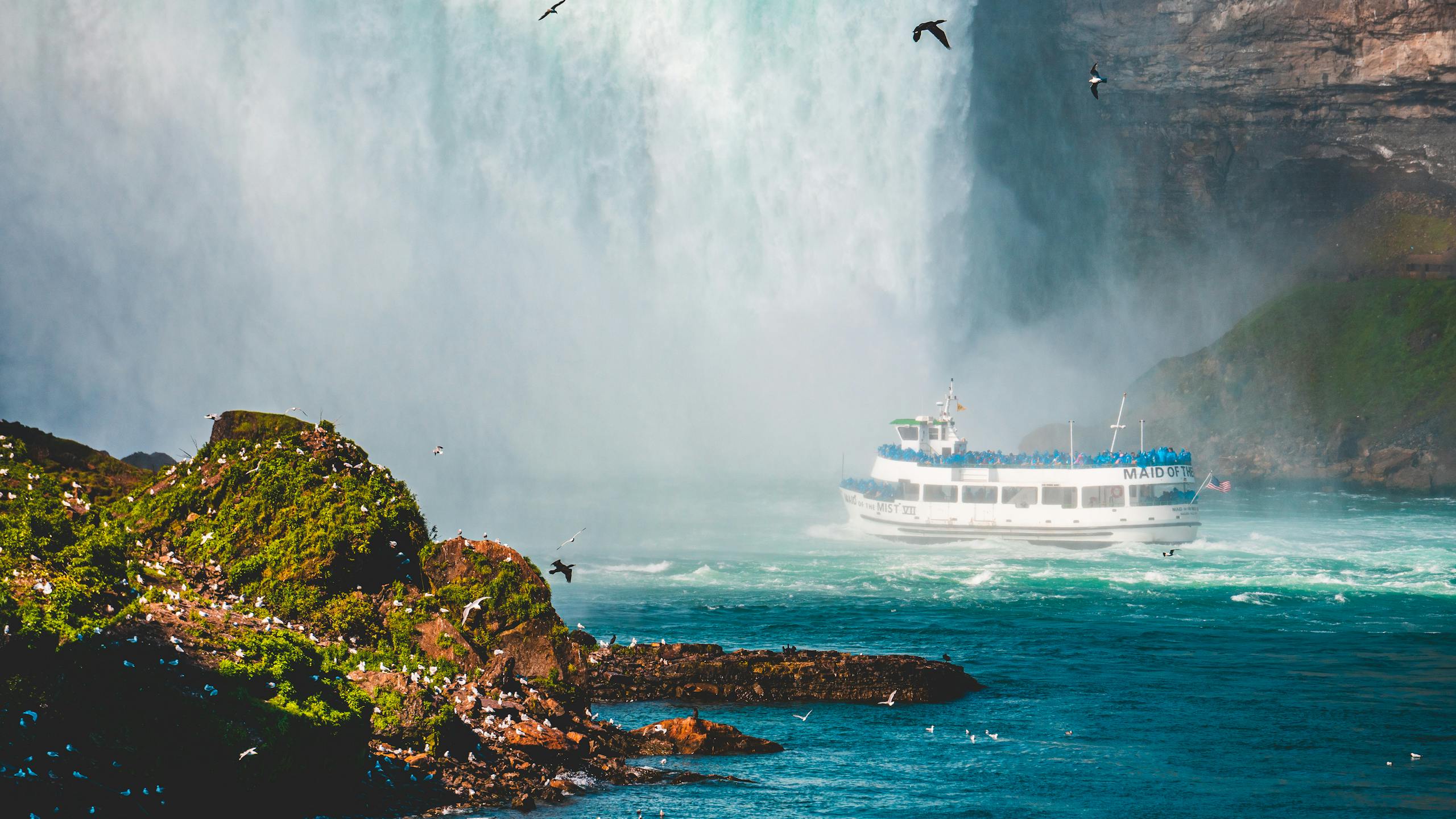 New York Researchers Uncover How a “Lake-Safe” Herbicide Lingers Longer Than Expected A scenic view of Niagara Falls featuring the Maid of the Mist ferry with lush greenery and birds.