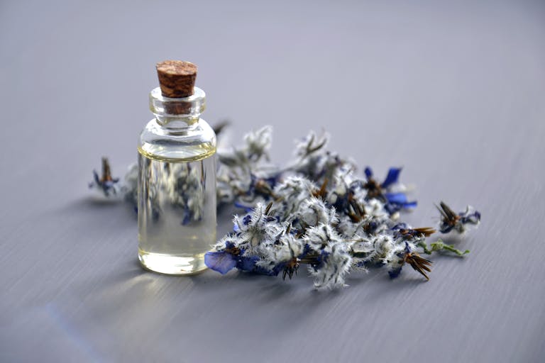 Edith Cowan University Researchers Pioneer a Smarter, Faster, and Cheaper Way to Extract Essential Oils Close-up of a lavender oil bottle with dried flowers for aromatherapy. Perfect for wellness themes.